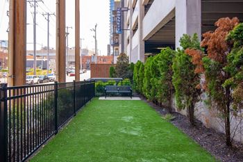 Dog spa & dog run